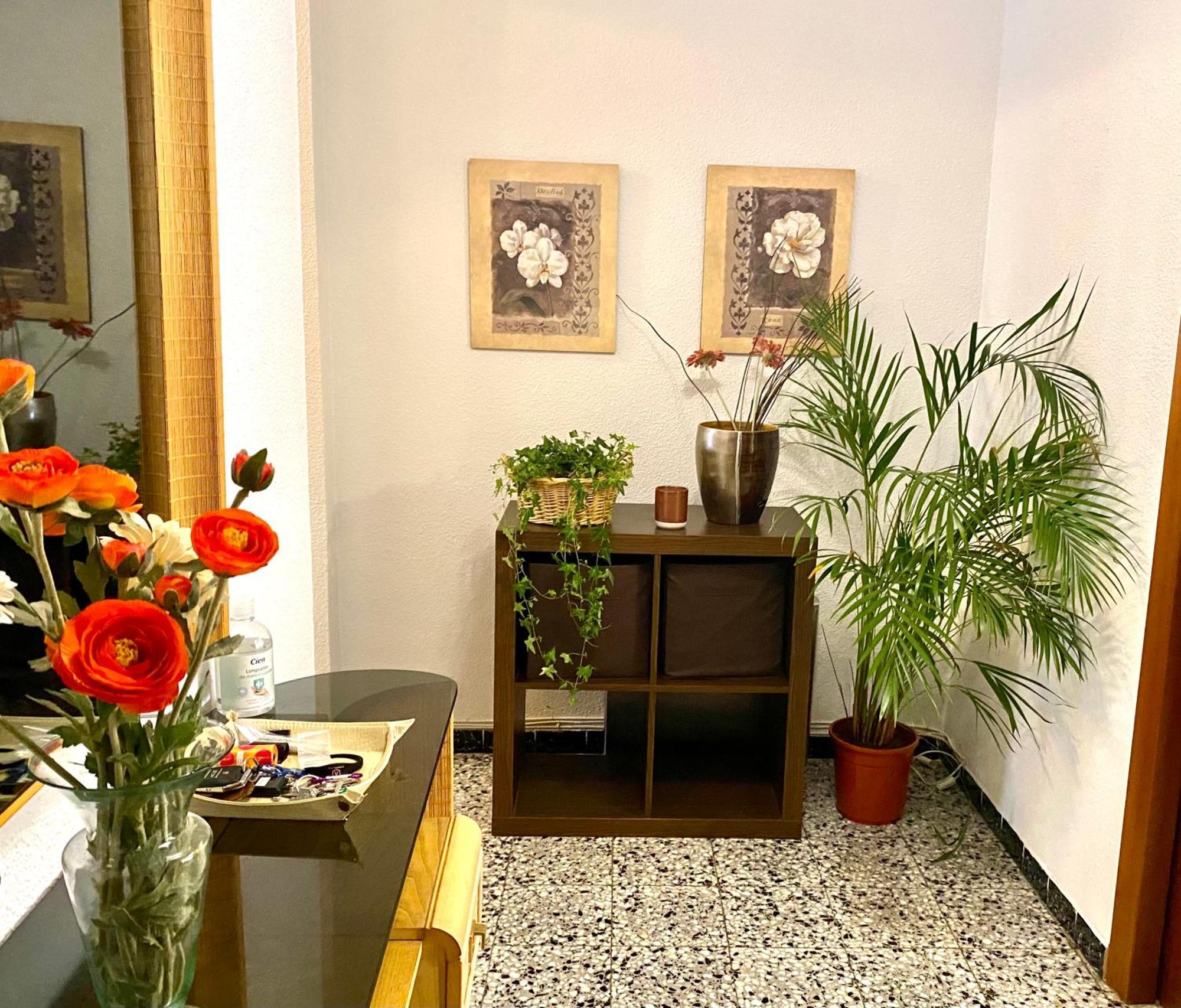 Habitacion My Home アリカンテ エクステリア 写真